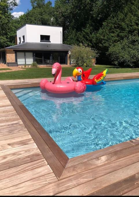 Magnifique Villa Avec Piscine En Sologne Vouzeron Exteriér fotografie